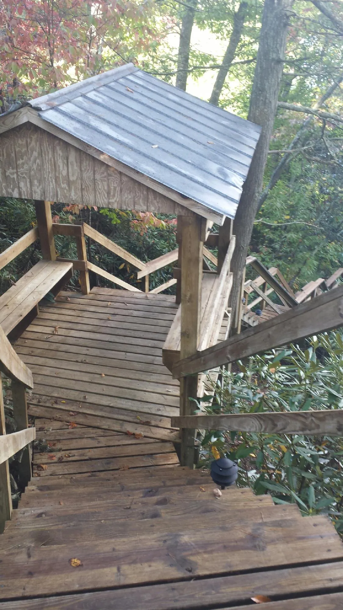 Metal roofed shelter over wooden steps on a wooded walkway — Skylight Repair & Installation work by our crew in Louvale
